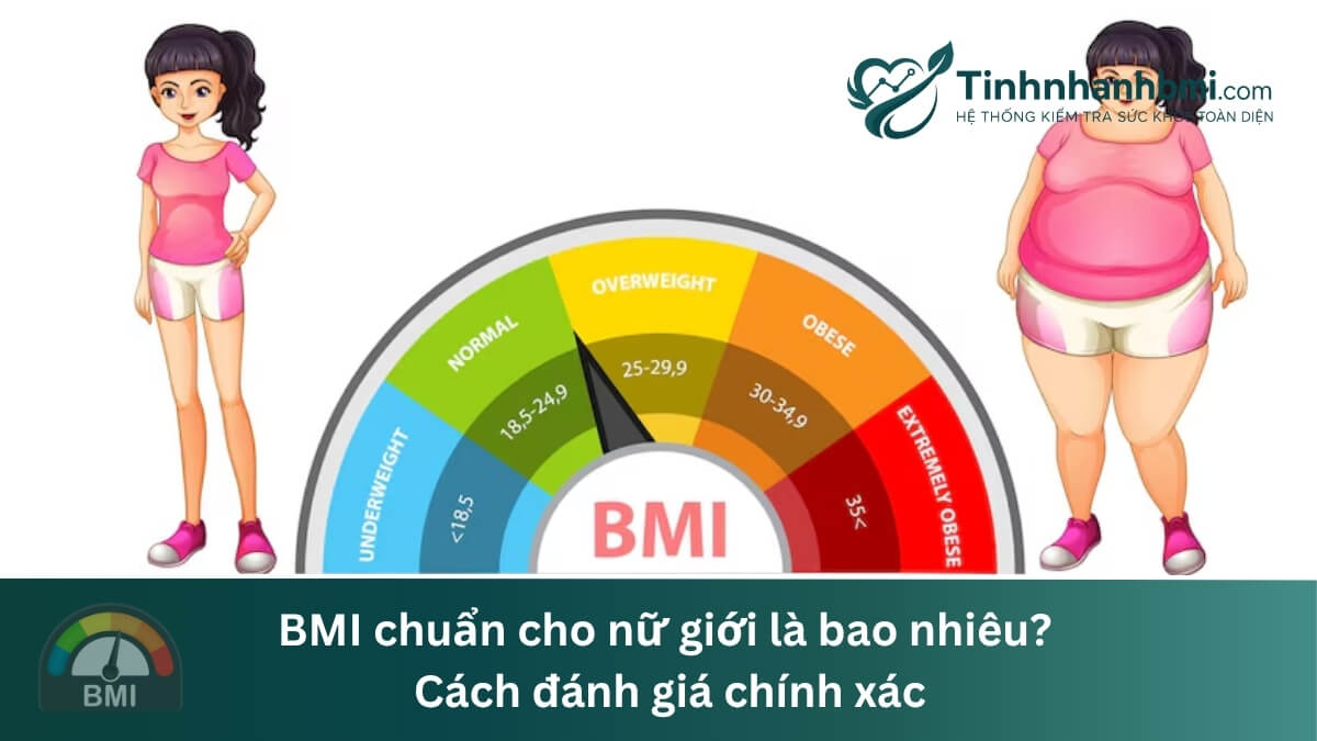 Chỉ số BMI chuẩn cho nữ giới là bao nhiêu? Cách đánh giá chính xác