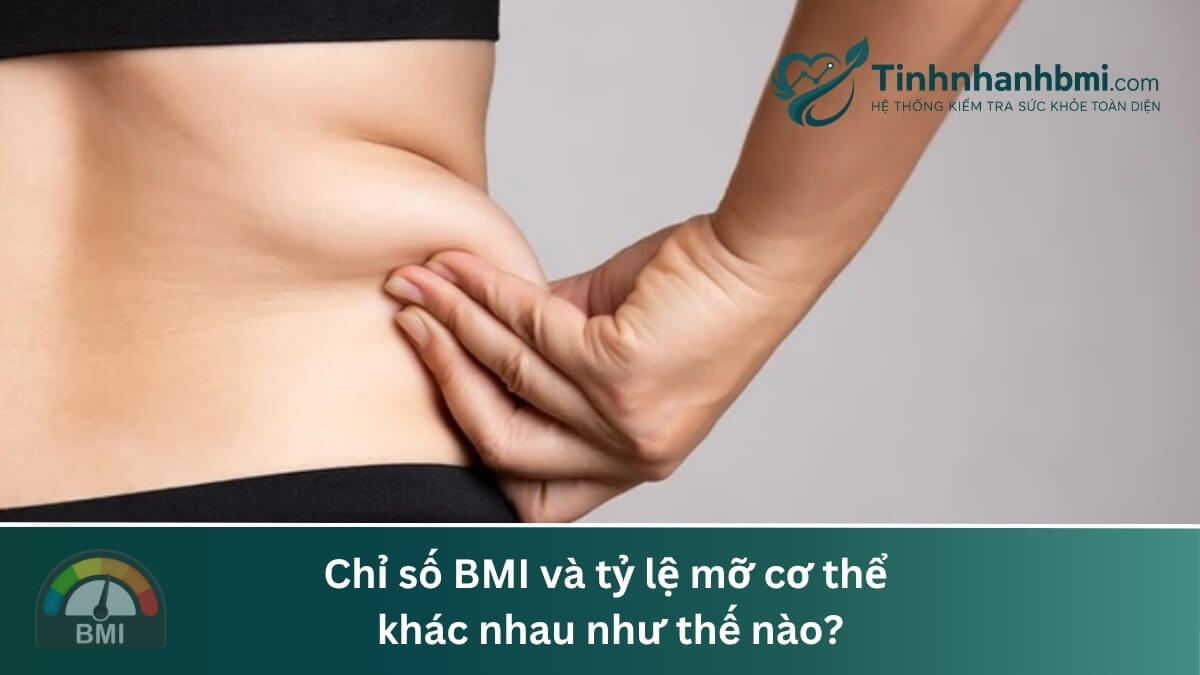 Chỉ số BMI và tỷ lệ mỡ cơ thể khác nhau như thế nào?