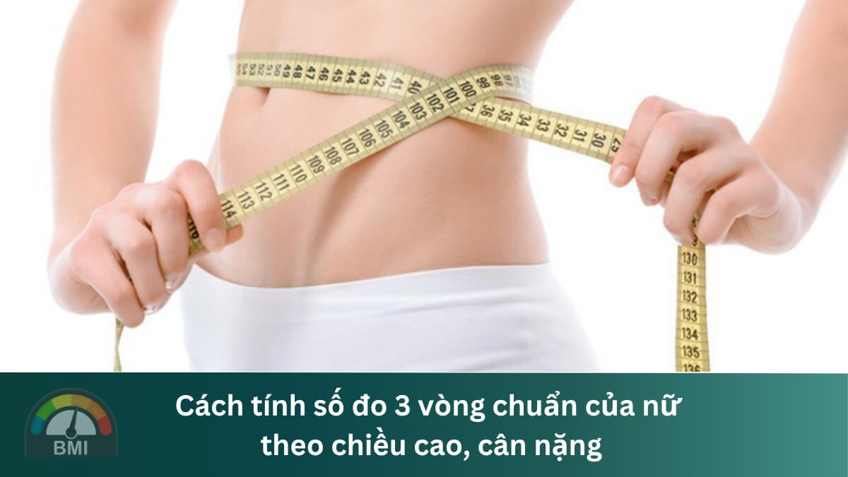 Cách tính số đo 3 vòng chuẩn của nữ theo chiều cao, cân nặng