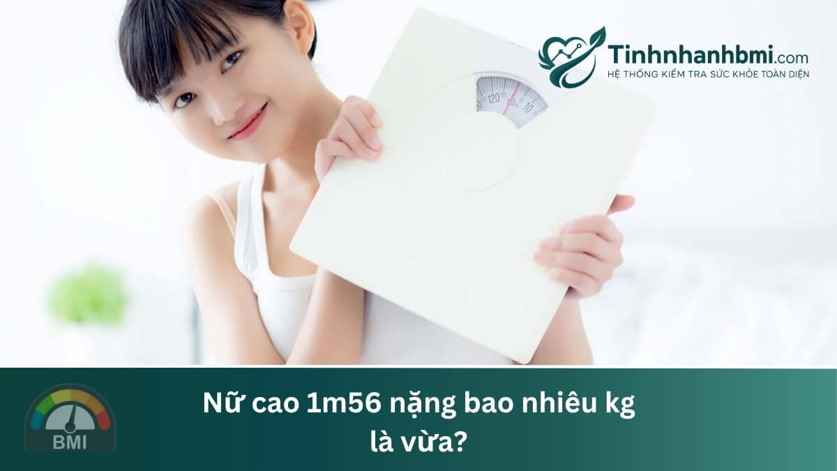Cao 1m56 nặng bao nhiêu kg là vừa?