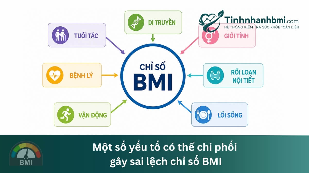 Một số yếu tố có thể chi phối gây sai lệch chỉ số BMI