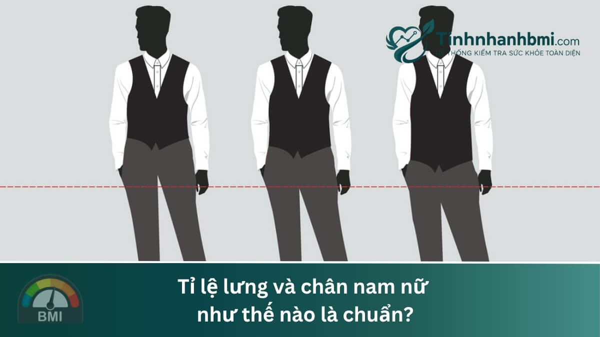 Tỉ lệ lưng và chân nam nữ như thế nào là chuẩn?