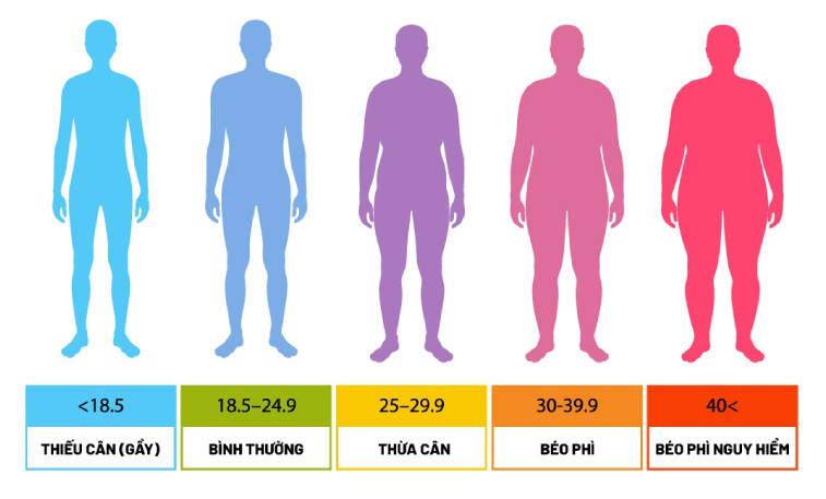 Chỉ số khối cơ thể (BMI) – Thước đo sức khỏe tiêu chuẩn